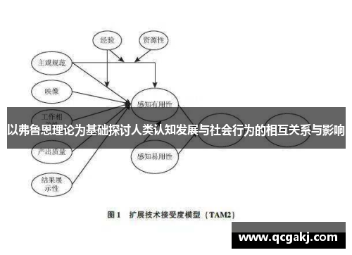 以弗鲁恩理论为基础探讨人类认知发展与社会行为的相互关系与影响